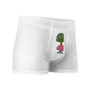 Boxer Briefs