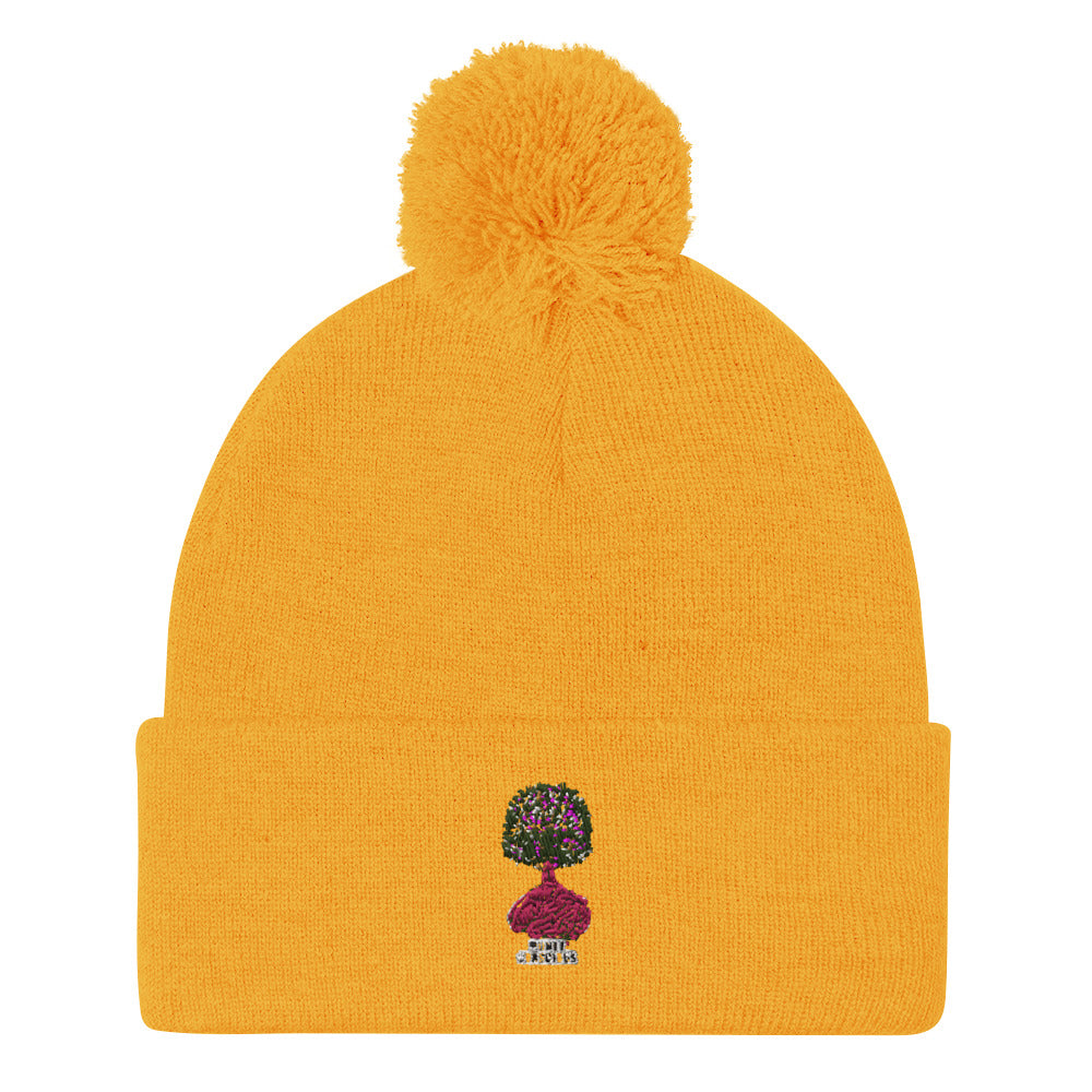 Pom-Pom Beanie