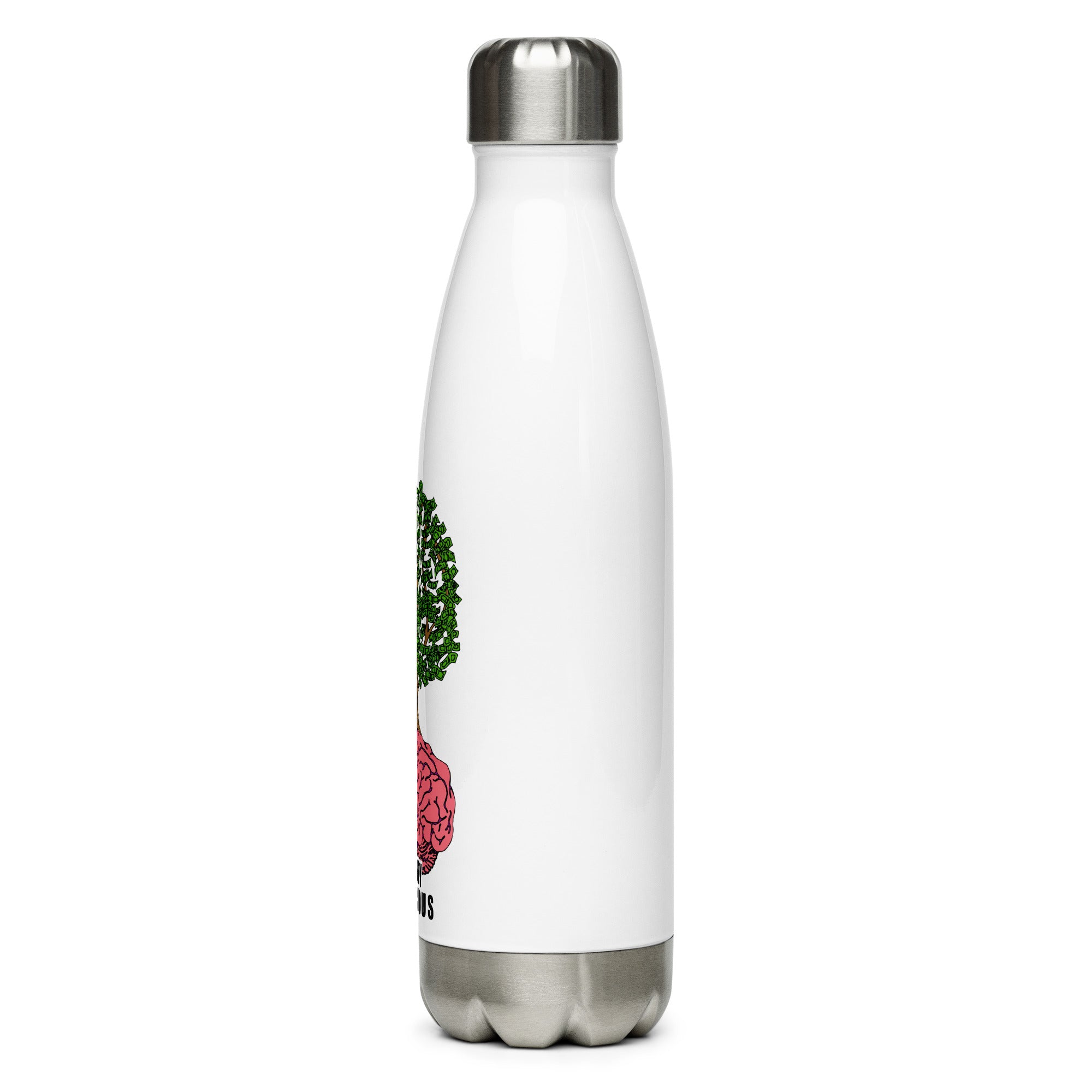 Stainless Steel Water Bottle